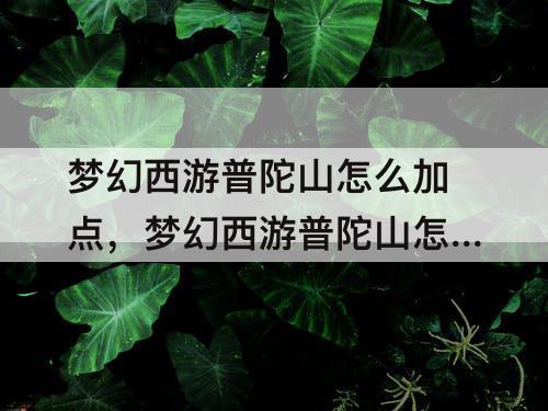 梦幻西游普陀山怎么加点，梦幻西游普陀山怎么加点最好