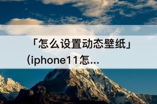 「怎么设置动态壁纸」(iphone11怎么设置动态壁纸自动播放)