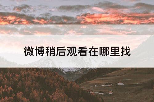 微博稍后观看在哪里找