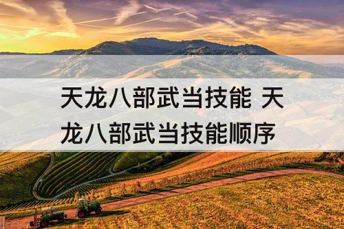 天龙八部武当技能 天龙八部武当技能顺序