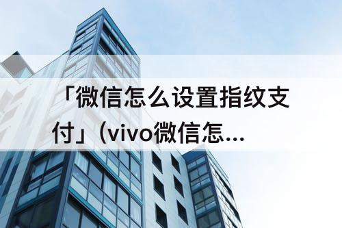 「微信怎么设置指纹支付」(vivo微信怎么设置指纹支付)