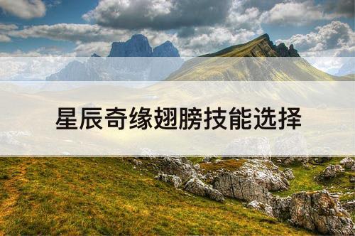 星辰奇缘翅膀技能选择