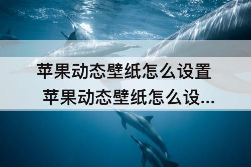 苹果动态壁纸怎么设置 苹果动态壁纸怎么设置自定义动态壁纸