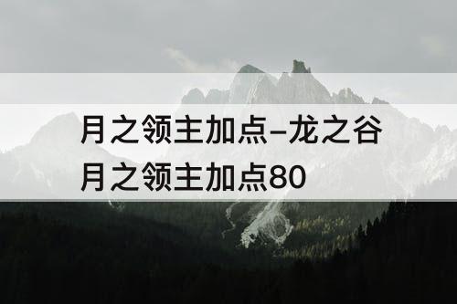月之领主加点-龙之谷月之领主加点80