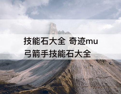 技能石大全 奇迹mu弓箭手技能石大全