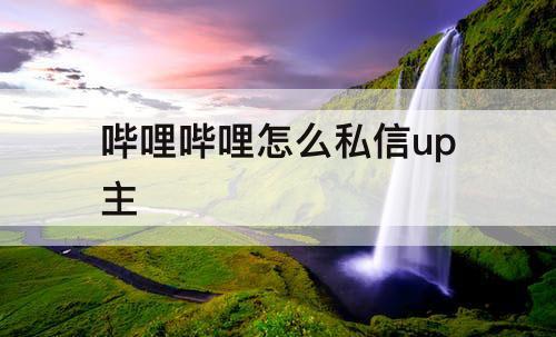 哔哩哔哩怎么私信up主
