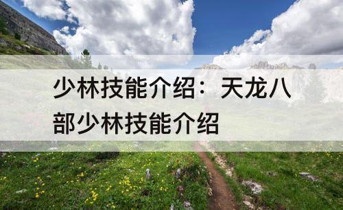 少林技能介绍：天龙八部少林技能介绍