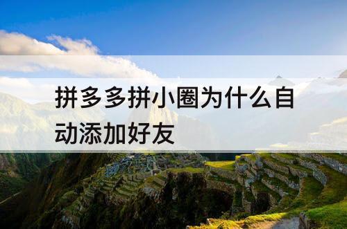拼多多拼小圈为什么自动添加好友