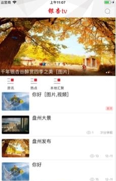 银杏TV  v5.2.6图1