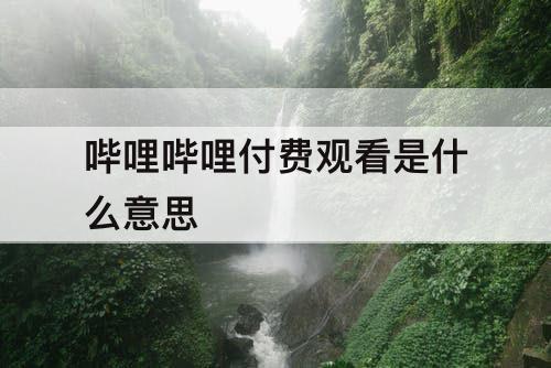 哔哩哔哩付费观看是什么意思