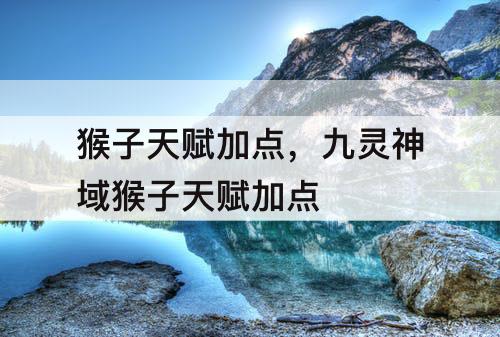 猴子天赋加点，九灵神域猴子天赋加点