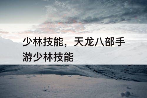 少林技能，天龙八部手游少林技能
