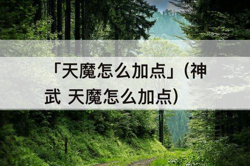 「天魔怎么加点」(神武 天魔怎么加点)