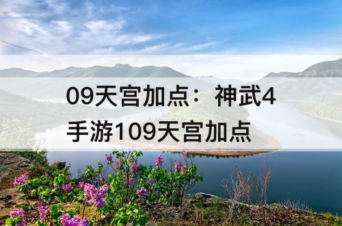 09天宫加点：神武4手游109天宫加点