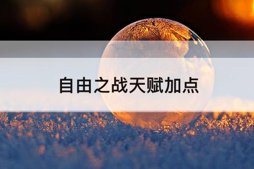 自由之战天赋加点