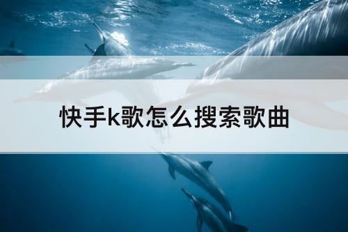 快手k歌怎么搜索歌曲