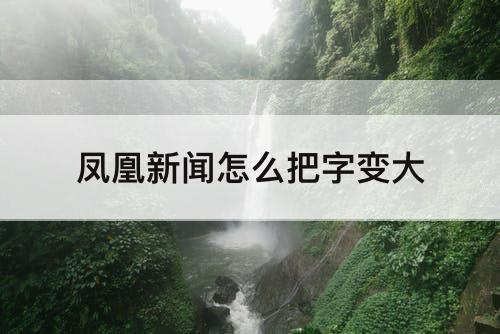 凤凰新闻怎么把字变大