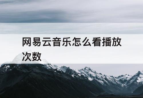 网易云音乐怎么看播放次数