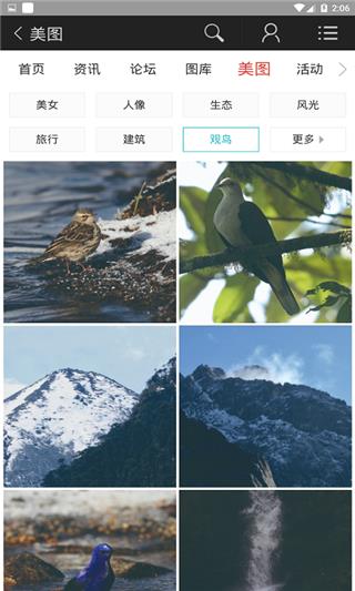 蜂鸟图库  v2.1.0图3