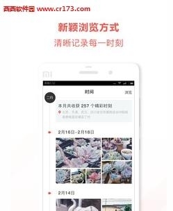 乐鱼相册  v1.0.0图1