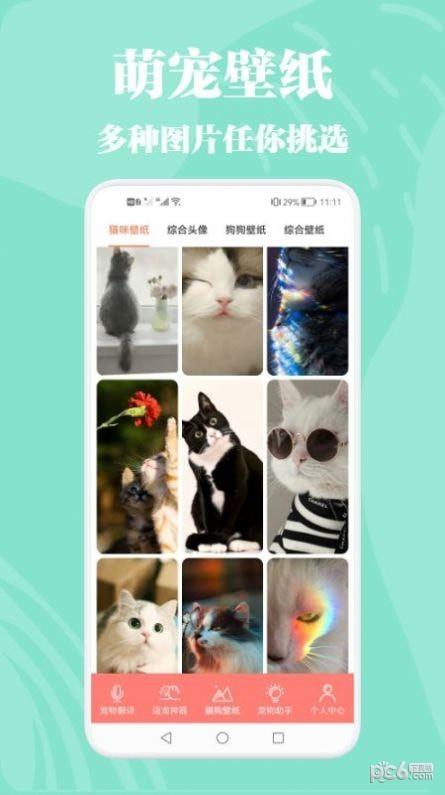 猫狗动物交流器  v1.1图3