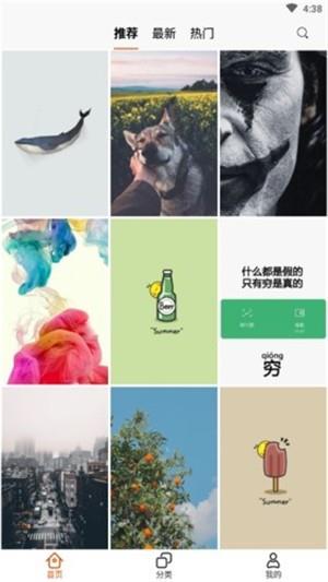 蜜蜂高清壁纸  v1.1图3