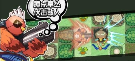 菜鸡互啄  v1.0图3