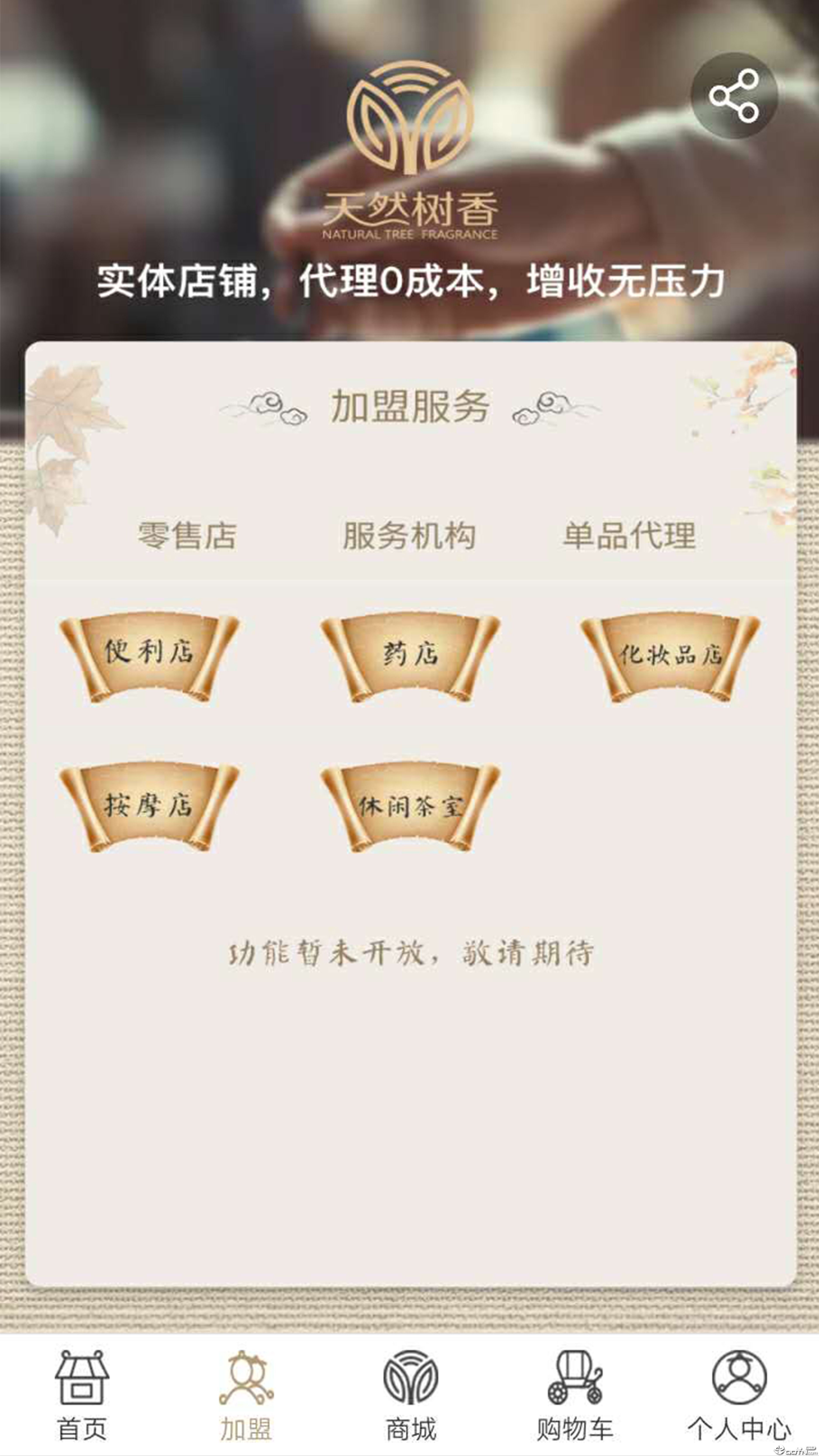 天然树香  v5.5图2