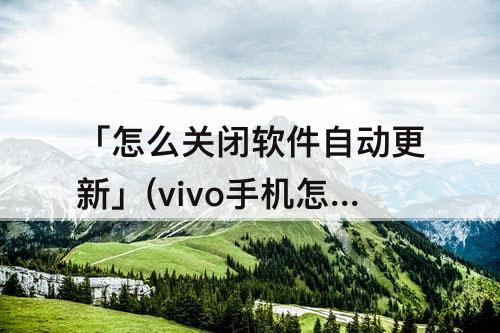 「怎么关闭软件自动更新」(vivo手机怎么关闭软件自动更新功能)