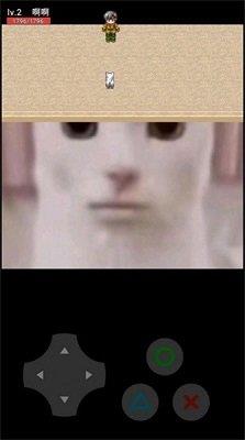 猫猫惊魂  v0.10图3