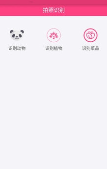 拍照识物  v1.0图3