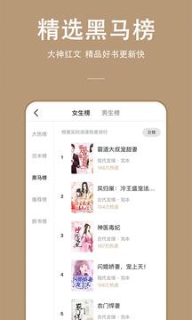 万能小说阅读器免费  vwf1.0.0图4