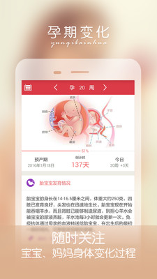 孕妇伴侣  v5.0.2图4