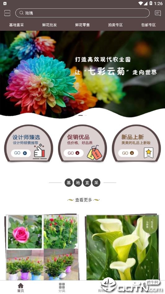 七彩云菊  v1.0.1图1