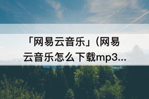 「网易云音乐」(网易云音乐怎么下载mp3格式)