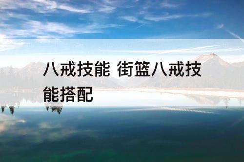 八戒技能 街篮八戒技能搭配