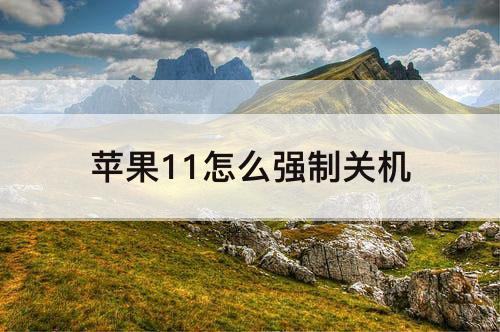 苹果11怎么强制关机