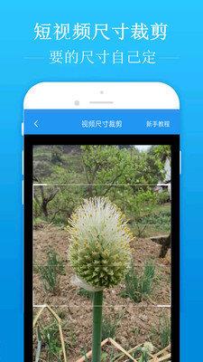 去水印吧  v1.6.6图2