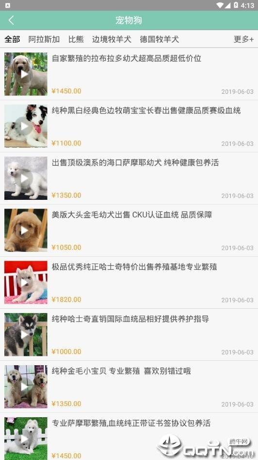 宠狐  v4.5.4图1