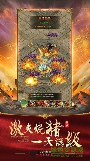 传世之光官方版  v1.0.101图4