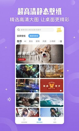 小鸟壁纸  v2.1.7图3