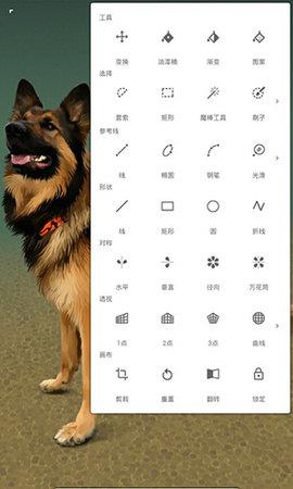 painter手机版中文版  v6.4.9.1图5