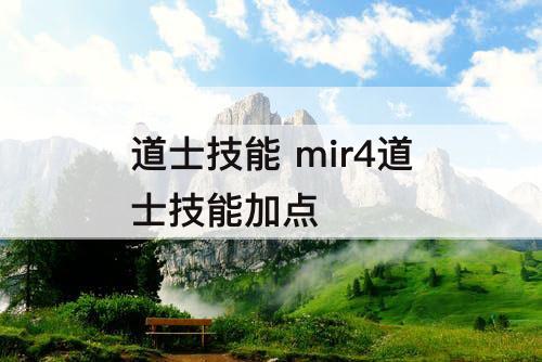 道士技能 mir4道士技能加点