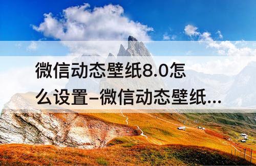 微信动态壁纸8.0怎么设置-微信动态壁纸8.0怎么设置视频