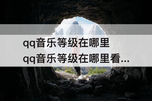 qq音乐等级在哪里 qq音乐等级在哪里看2021