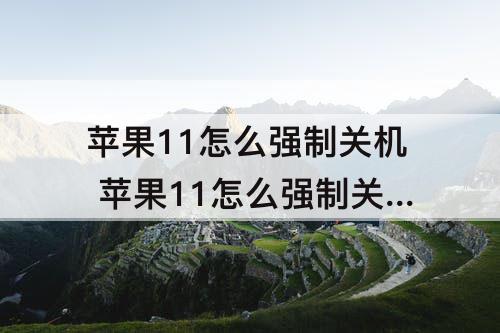 苹果11怎么强制关机 苹果11怎么强制关机视频