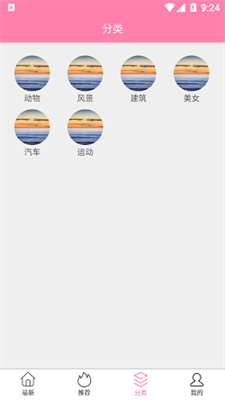 茶杯狐壁纸  v1.0.1图1