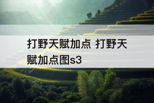 打野天赋加点 打野天赋加点图s3