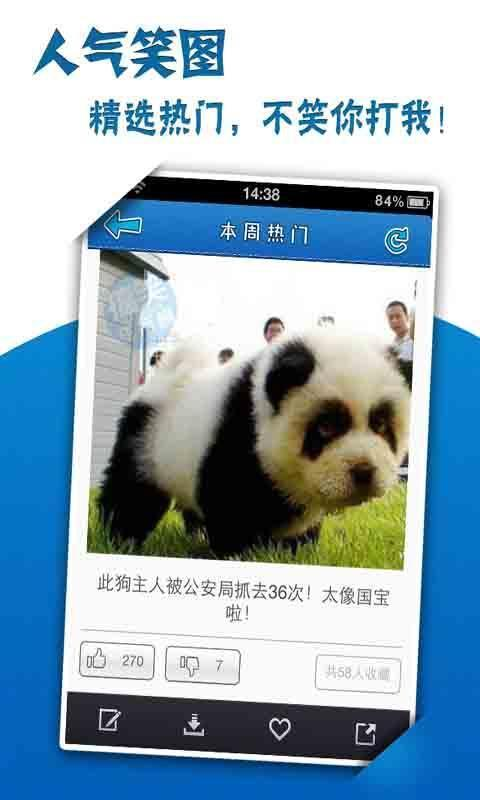 搞笑囧图  v2.4.1图1