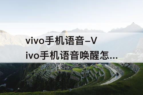 vivo手机语音-Vivo手机语音唤醒怎么说